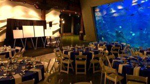 park west gallery vip