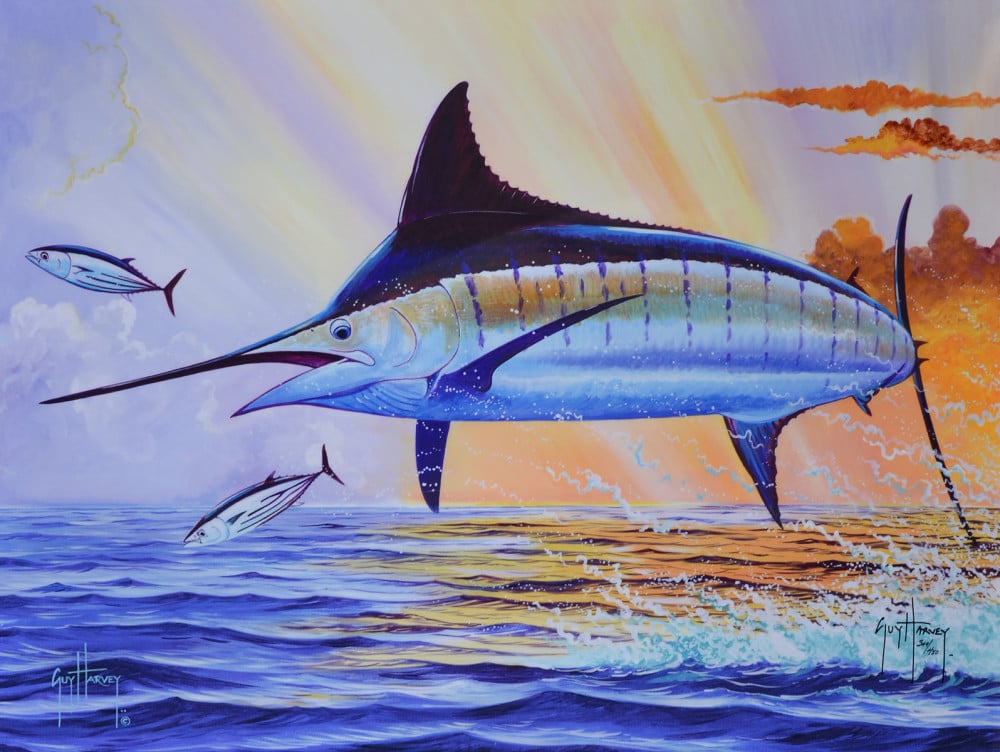 guy harvey